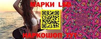 эйфоретик Аргун
