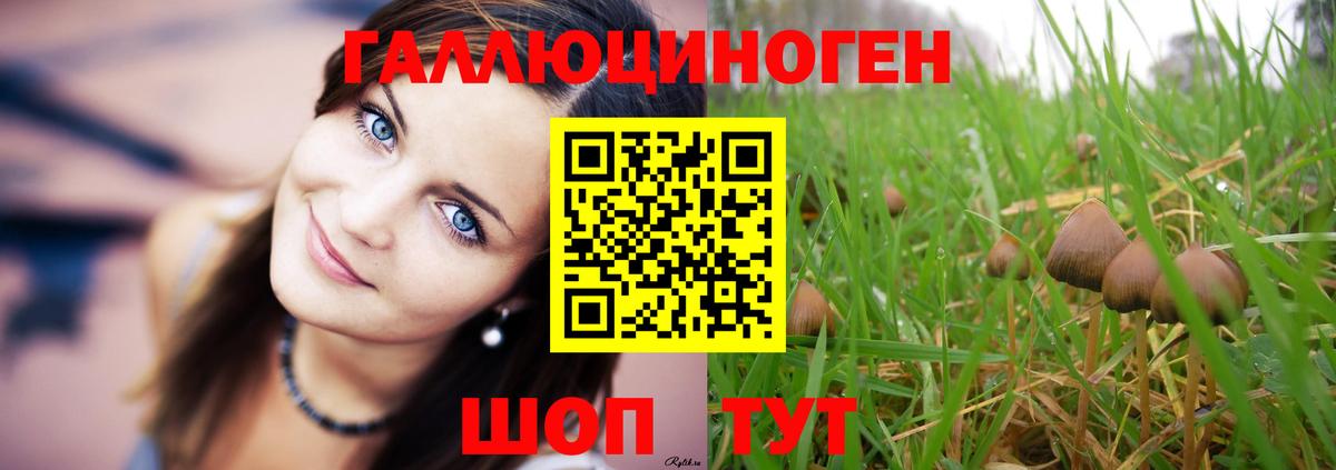 Волгодонск  цена наркотик  Вход с VPN  Галлюциногенные грибы Cubensis 